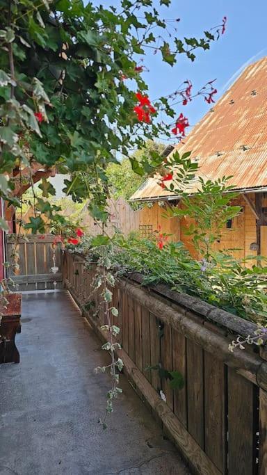 Villa Le Banc Des Seilles Bonvillard Exterior foto